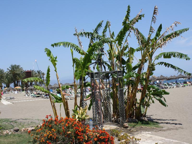 Hotel Ms Tropicana Torremolinos Exterior foto